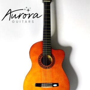 Valencia CG160CVT/NA Electro-Classical guitar