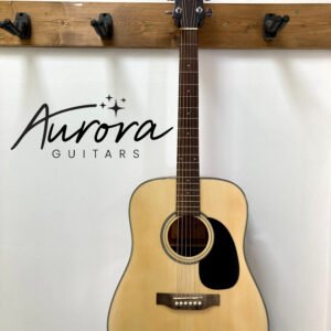 Crafter HD-24/NT