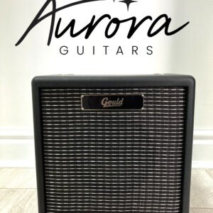 Gould 10w Practice Amplifier